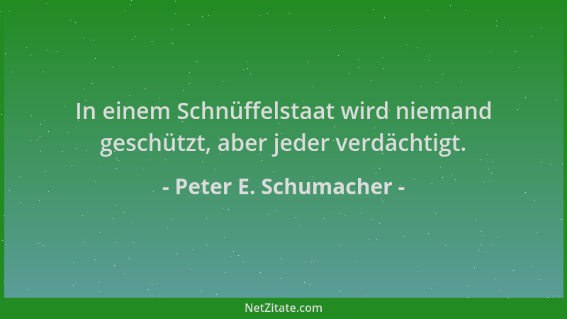 Peter E. Schumacher - In einem Schnüffelstaat wird niemand geschützt, aber jeder verdächtigt....