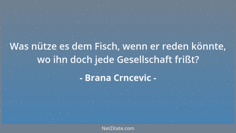 Brana Crncevic - Was nütze es dem Fisch, wenn er reden könnte, wo ihn doch jede Gesellschaft frißt?...