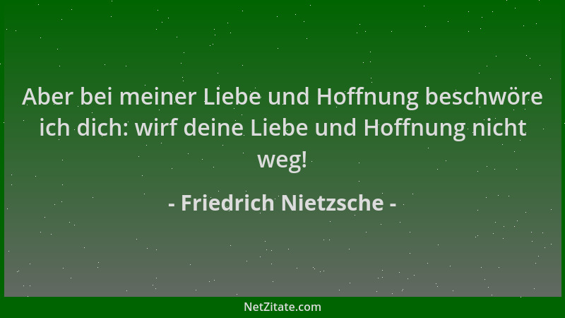 Friedrich Nietzsche - Aber bei meiner Liebe und Hoffnung beschwöre ich dich: wirf deine Liebe und Hoffnung nicht weg!...