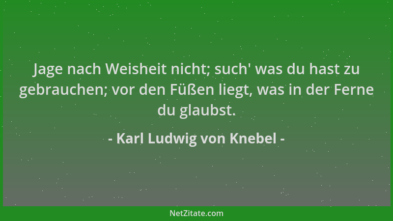 Karl Ludwig von Knebel - Jage nach Weisheit nicht; such ' was du hast zu gebrauchen; vor den Füßen liegt, was in der Ferne d...