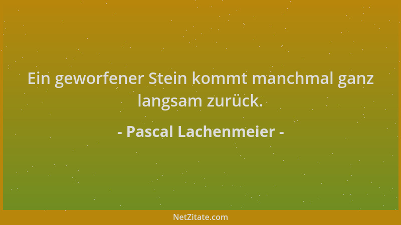 Pascal Lachenmeier - Ein geworfener Stein kommt manchmal ganz langsam zurück....