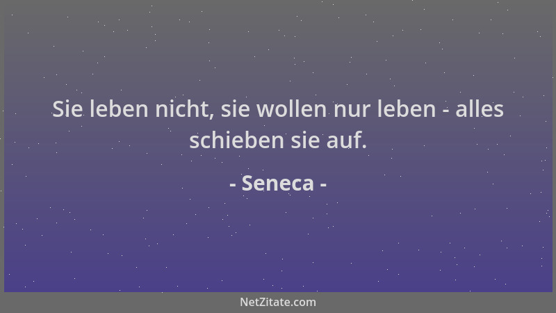 Seneca - Sie leben nicht, sie wollen nur leben - alles schieben sie auf....