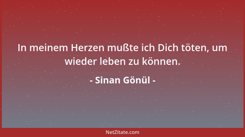 Sinan Gönül - In meinem Herzen mußte ich Dich töten, um wieder leben zu können....