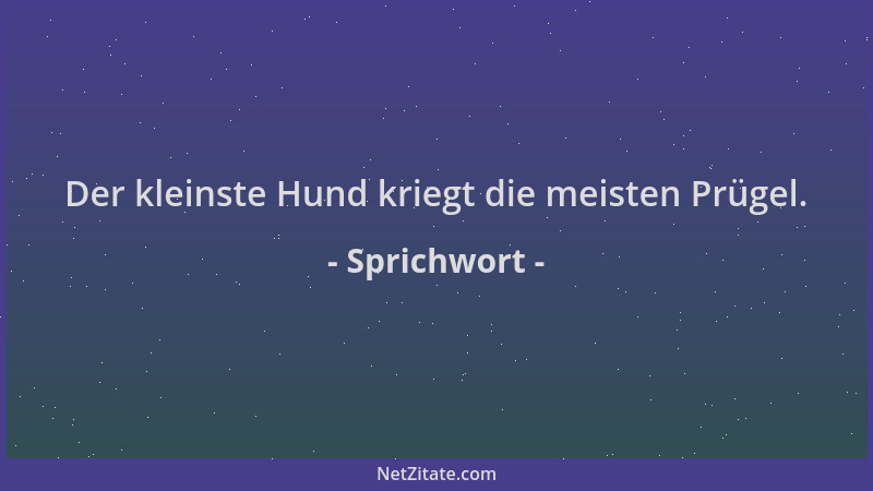 Sprichwort - Der kleinste Hund kriegt die meisten Prügel....