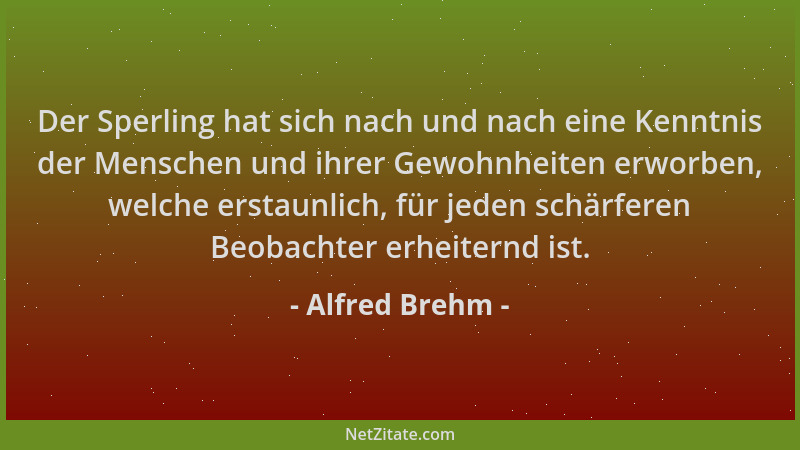 Alfred Brehm - Der Sperling hat sich nach und nach eine Kenntnis der Menschen und ihrer Gewohnheiten erworben, welche ersta...