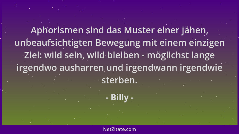 Billy - Aphorismen sind das Muster einer jähen, unbeaufsichtigten Bewegung mit einem einzigen Ziel: wild sein, wild bleiben...