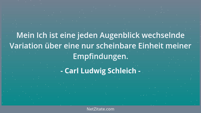 Carl Ludwig Schleich - Mein Ich ist eine jeden Augenblick wechselnde Variation über eine nur scheinbare Einheit meiner Empf...
