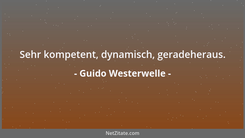 Guido Westerwelle - Sehr kompetent, dynamisch, geradeheraus....