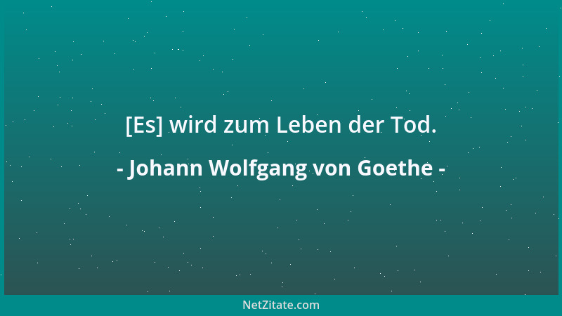 Johann Wolfgang von Goethe - Ich fühlte recht gut, daß sich etwas Bedeutendes nur produzieren lasse, wenn man sich isoliere...