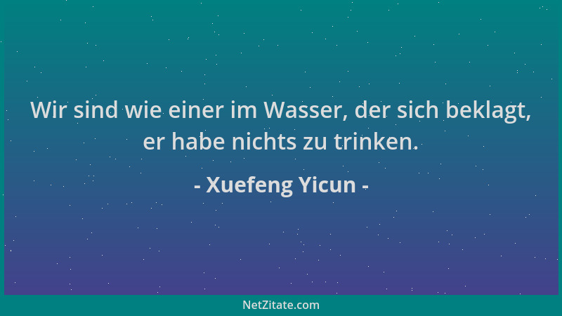 Xuefeng Yicun - Wir sind wie einer im Wasser, der sich beklagt, er habe nichts zu trinken....