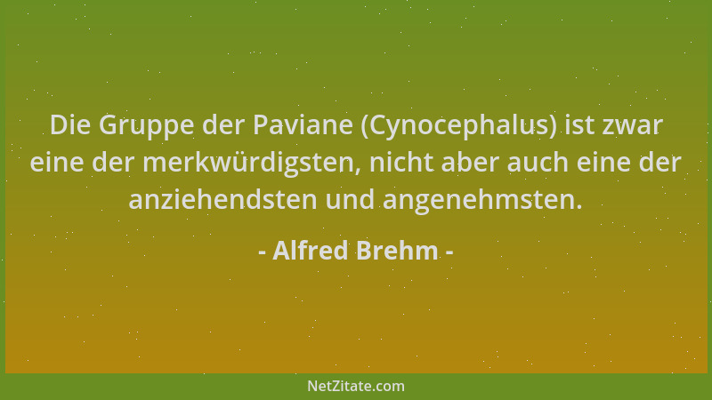 Alfred Brehm - Die Gruppe der Paviane (Cynocephalus) ist zwar eine der merkwürdigsten, nicht aber auch eine der anziehendst...