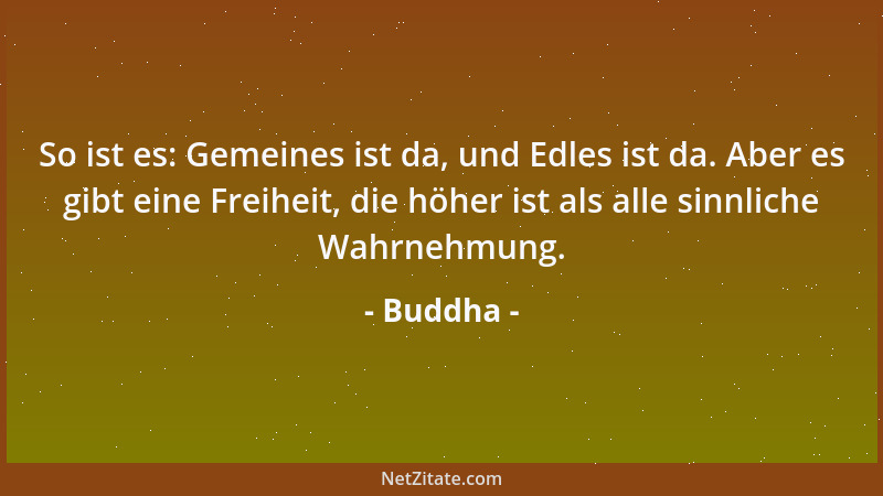 Buddha - So ist es: Gemeines ist da, und Edles ist da. Aber es gibt eine Freiheit, die höher ist als alle sinnliche Wahrneh...
