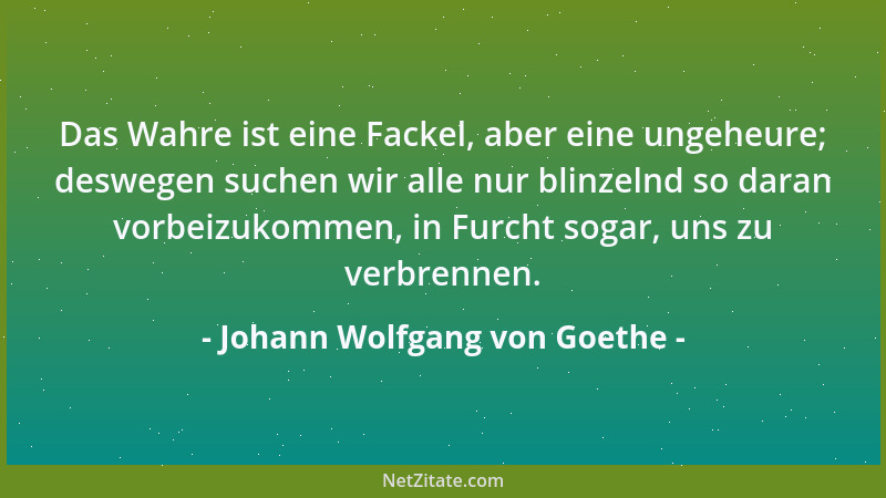 Johann Wolfgang von Goethe - Die Richtigkeit des Gedankens ist die Hauptsache, denn daraus entwickelt sich allein das Richt...
