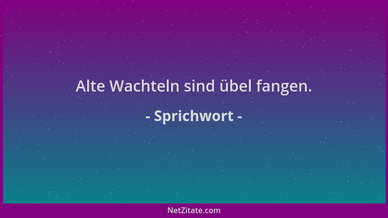 Sprichwort - Alte Wachteln sind übel fangen....