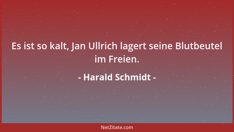 Harald Schmidt - Es ist so kalt, Jan Ullrich lagert seine Blutbeutel im Freien....