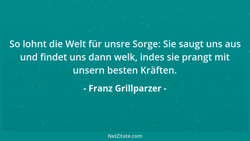 Franz Grillparzer - Schön ist, was durch Vollkommenheit in seiner Art die Idee der Vollkommenheit im allgemeinen erweckt....