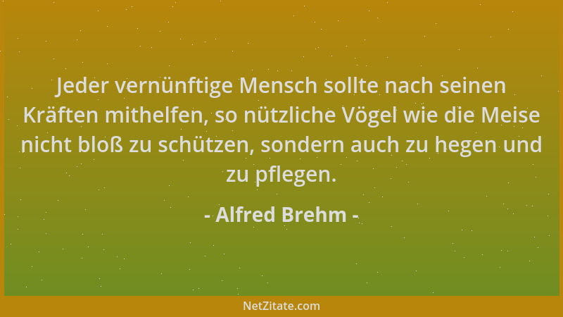 Alfred Brehm - Jeder vernünftige Mensch sollte nach seinen Kräften mithelfen, so nützliche Vögel wie die Meise nicht bloß z...