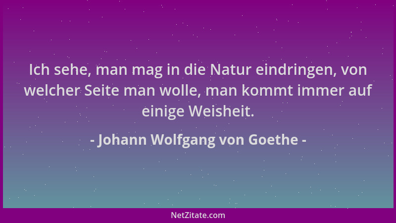 Johann Wolfgang von Goethe - Ich sehe, man mag in die Natur eindringen, von welcher Seite man wolle, man kommt immer auf ei...