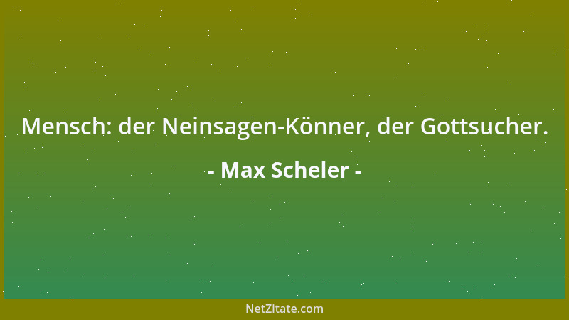 Max Scheler - Mensch: der Neinsagen-Könner, der Gottsucher....