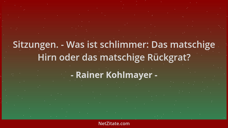 Rainer Kohlmayer - Sitzungen. - Was ist schlimmer: Das matschige Hirn oder das matschige Rückgrat?...