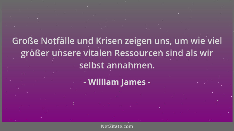 William James - Große Notfälle und Krisen zeigen uns, um wie viel größer unsere vitalen Ressourcen sind als wir selbst anna...