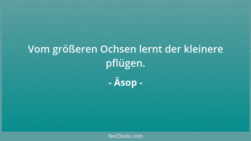 Äsop - Trost für jedem im Leid ist, Unglücksgefährten zu haben....