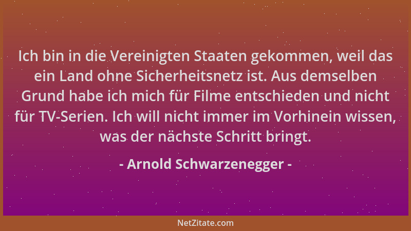 Arnold Schwarzenegger - Ich bin in die Vereinigten Staaten gekommen, weil das ein Land ohne Sicherheitsnetz ist. Aus demsel...