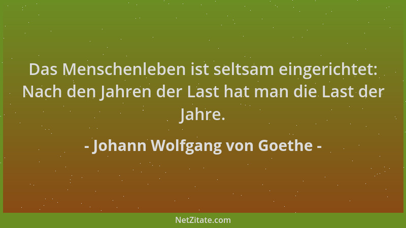 Johann Wolfgang von Goethe - Das Menschenleben ist seltsam eingerichtet: Nach den Jahren der Last hat man die Last der Jahr...