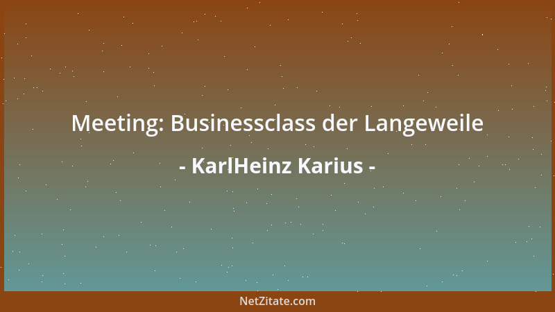 KarlHeinz Karius - Meeting: Businessclass der Langeweile...