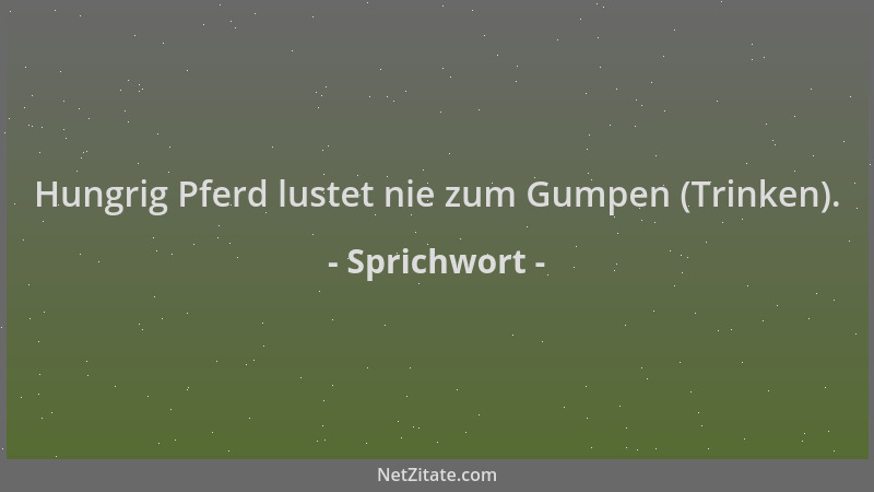 Sprichwort - Hungrig Pferd lustet nie zum Gumpen (Trinken)....