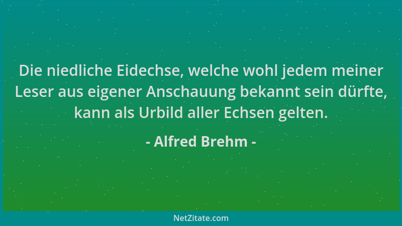 Alfred Brehm - Die niedliche Eidechse, welche wohl jedem meiner Leser aus eigener Anschauung bekannt sein dürfte, kann als...