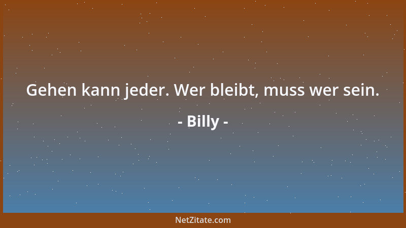 Billy - Werbung ist die Optimierung des Wortes billig....