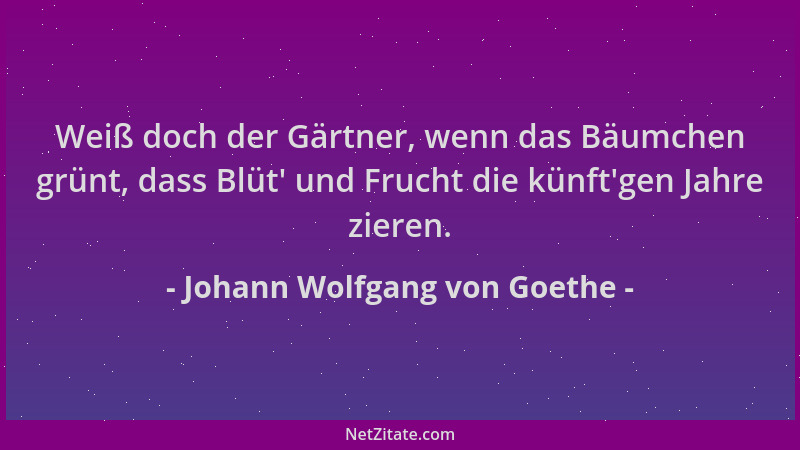 Johann Wolfgang von Goethe - Weiß doch der Gärtner, wenn das Bäumchen grünt, dass Blüt ' und Frucht die künft 'gen Jahre zier...