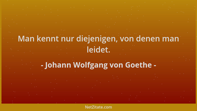 Johann Wolfgang von Goethe - Man kennt nur diejenigen, von denen man leidet....