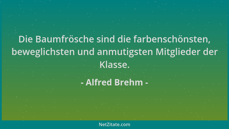 Alfred Brehm - Die Baumfrösche sind die farbenschönsten, beweglichsten und anmutigsten Mitglieder der Klasse....