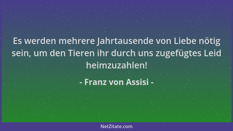 Franz von Assisi - Es werden mehrere Jahrtausende von Liebe nötig sein, um den Tieren ihr durch uns zugefügtes Leid heimzuz...