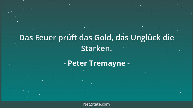 Peter Tremayne - Das Feuer prüft das Gold, das Unglück die Starken....