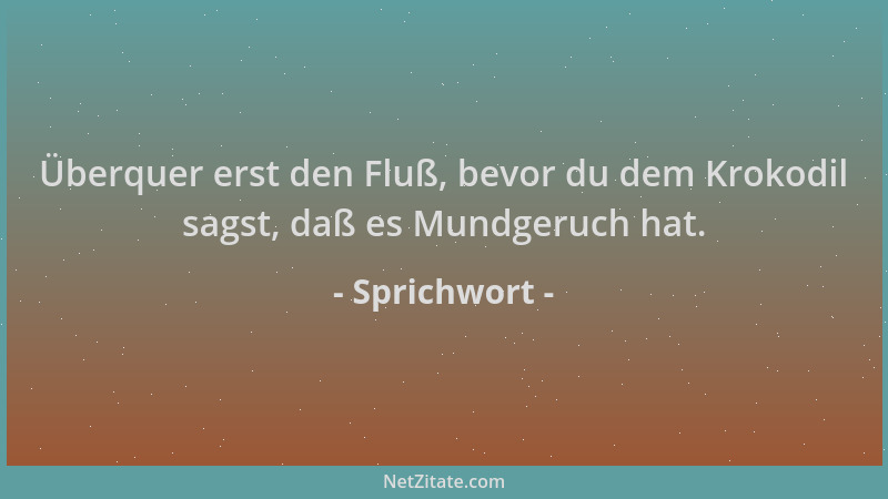 Sprichwort - Überquer erst den Fluß, bevor du dem Krokodil sagst, daß es Mundgeruch hat....