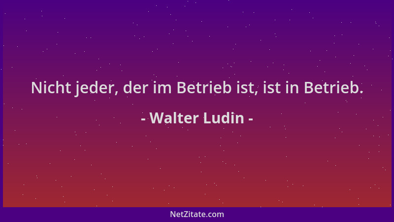 Walter Ludin - Nicht jeder, der im Betrieb ist, ist in Betrieb....