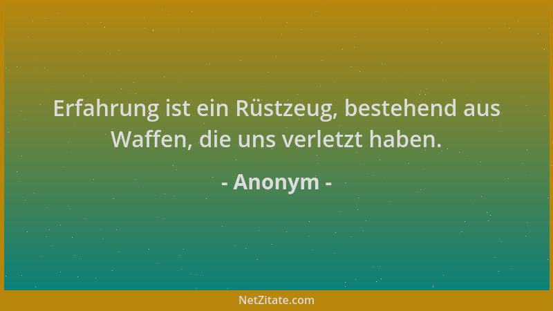 Anonym - Erfahrung ist ein Rüstzeug, bestehend aus Waffen, die uns verletzt haben....