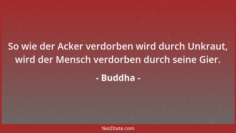 Buddha - So wie der Acker verdorben wird durch Unkraut, wird der Mensch verdorben durch seine Gier....
