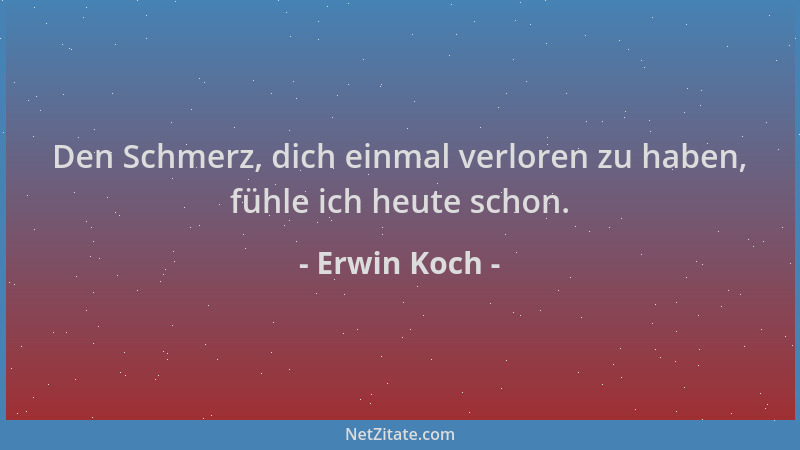 Erwin Koch - Den Schmerz, dich einmal verloren zu haben, fühle ich heute schon....