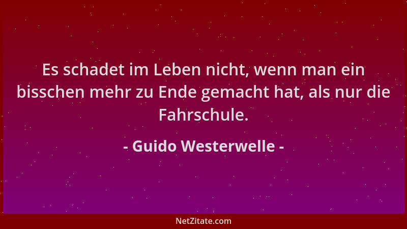 Guido Westerwelle - Es schadet im Leben nicht, wenn man ein bisschen mehr zu Ende gemacht hat, als nur die Fahrschule....