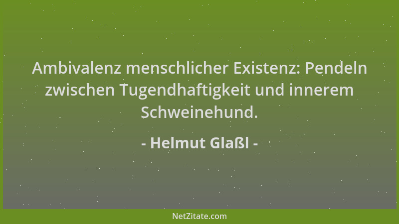 Helmut Glaßl - Ambivalenz menschlicher Existenz: Pendeln zwischen Tugendhaftigkeit und innerem Schweinehund....