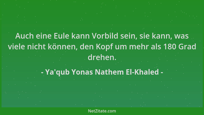 Ya'qub Yonas Nathem El-Khaled - Auch eine Eule kann Vorbild sein, sie kann, was viele nicht können, den Kopf um mehr al...