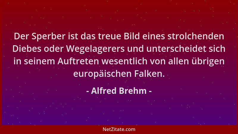 Alfred Brehm - Der Sperber ist das treue Bild eines strolchenden Diebes oder Wegelagerers und unterscheidet sich in seinem...