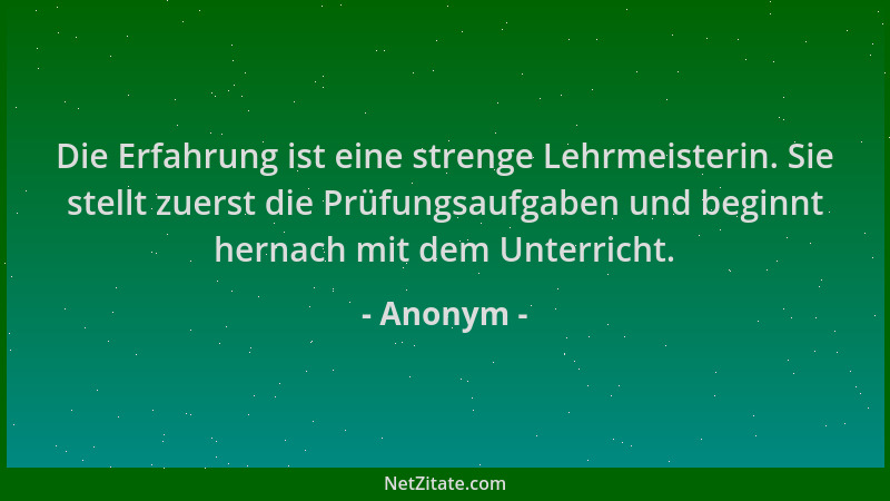 Anonym - Die Erfahrung ist eine strenge Lehrmeisterin. Sie stellt zuerst die Prüfungsaufgaben und beginnt hernach mit dem U...