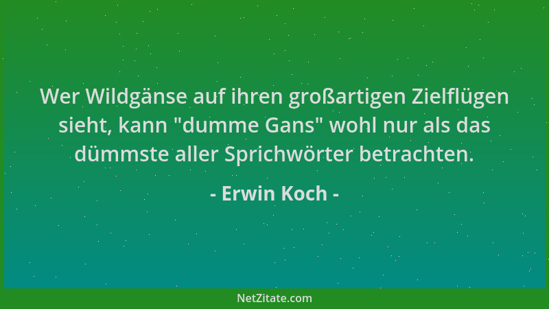 Erwin Koch - Wer Wildgänse auf ihren großartigen Zielflügen sieht, kann  "dumme Gans " wohl nur als das dümmste aller Sprichw...