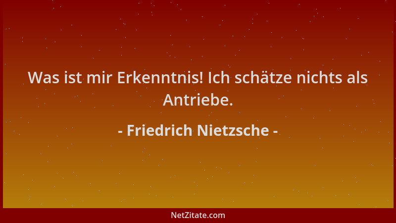 Friedrich Nietzsche - Was ist mir Erkenntnis! Ich schätze nichts als Antriebe....