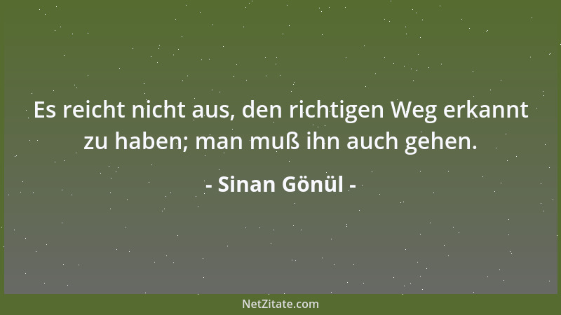 Sinan Gönül - Es reicht nicht aus, den richtigen Weg erkannt zu haben; man muß ihn auch gehen....
